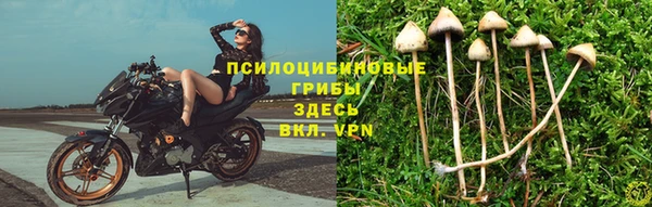 a pvp Наволоки