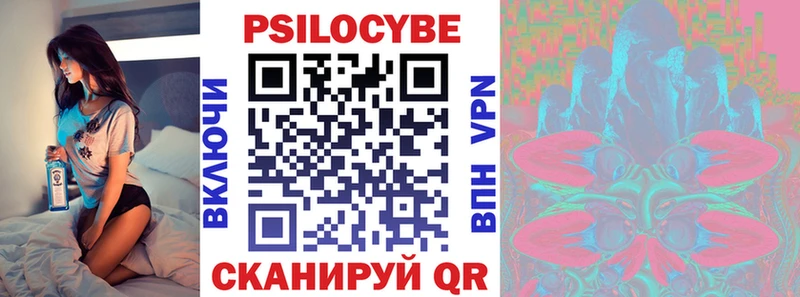 MEGA как войти  Шенкурск  Псилоцибиновые грибы мицелий 